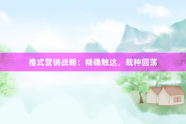 推式营销战略：精确触达，栽种回荡